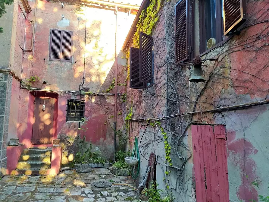 Immagine 8 di Villa in vendita  a Livorno