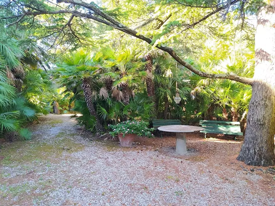 Immagine 14 di Villa in vendita  a Livorno