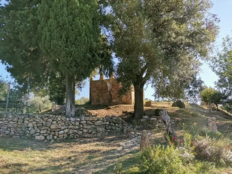 Immagine 40 di Casa colonica in vendita  a San Gimignano