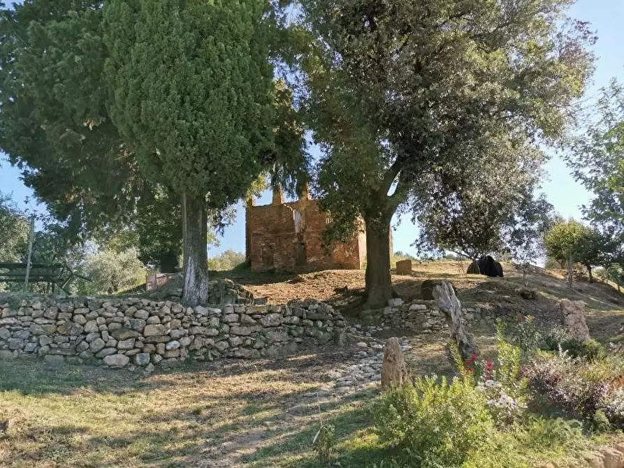 Immagine 39 di Casa colonica in vendita  a San Gimignano