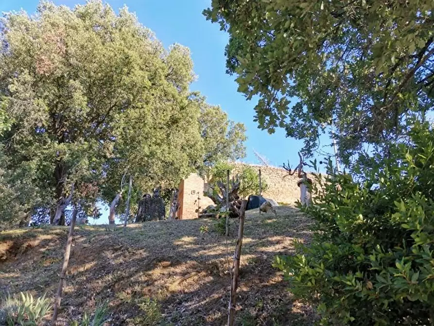 Immagine 43 di Casa colonica in vendita  a San Gimignano