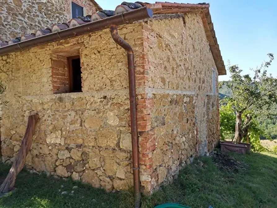 Immagine 22 di Casa colonica in vendita  a San Gimignano