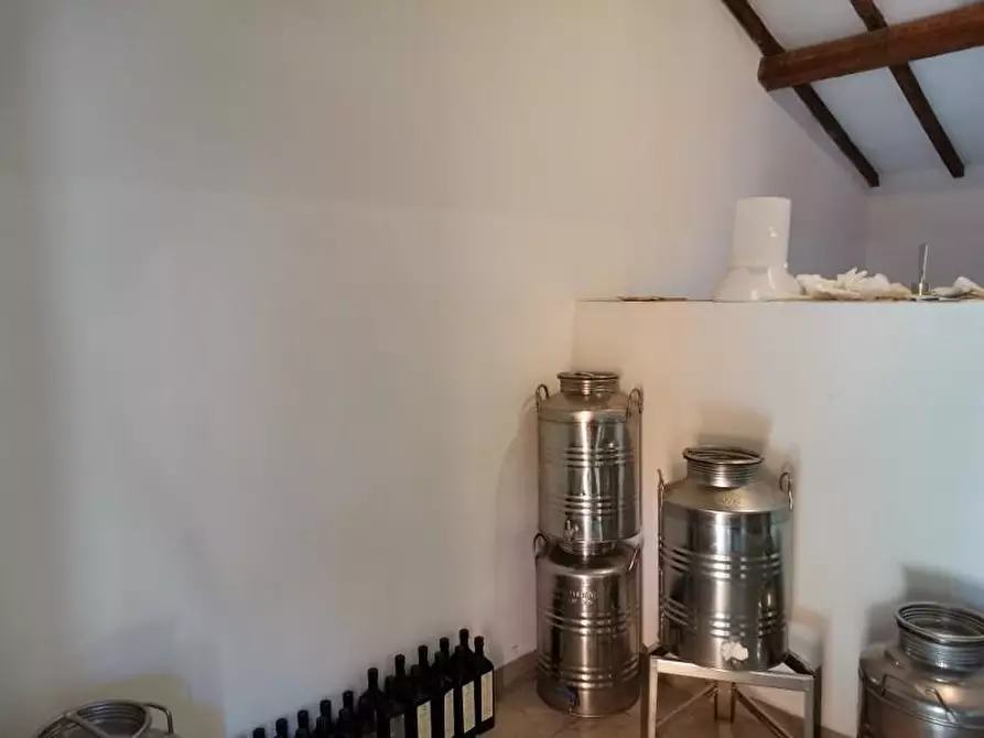 Immagine 21 di Casa colonica in vendita  a San Gimignano