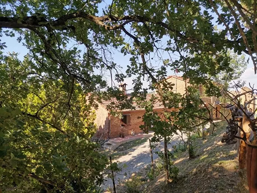 Immagine 20 di Casa colonica in vendita  a San Gimignano