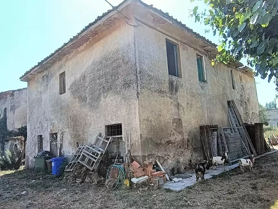 Immagine 4 di Casa colonica in vendita  a San Giuliano Terme