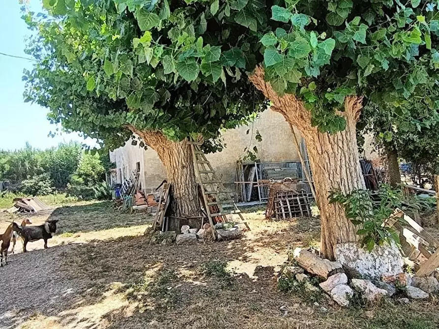 Immagine 7 di Casa colonica in vendita  a San Giuliano Terme