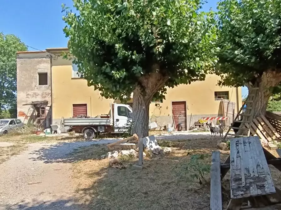 Immagine 2 di Casa colonica in vendita  a San Giuliano Terme