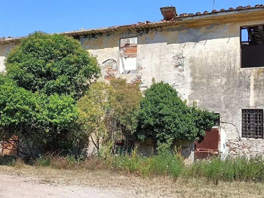 Immagine 6 di Casa colonica in vendita  a San Giuliano Terme