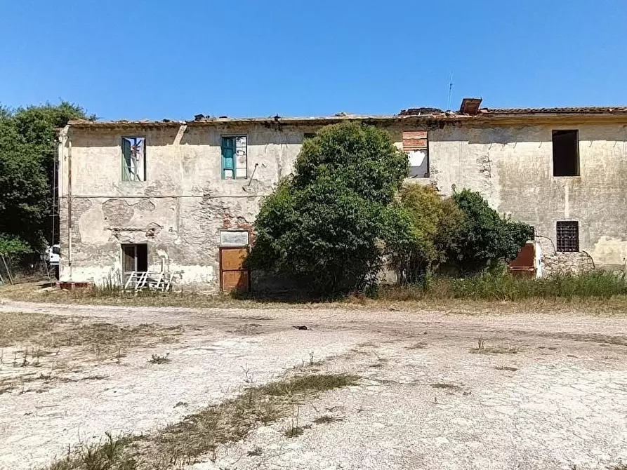 Immagine 3 di Casa colonica in vendita  a San Giuliano Terme