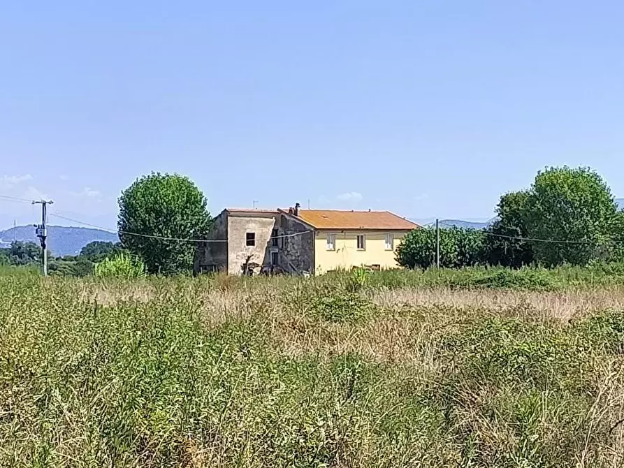 Immagine 1 di Casa colonica in vendita  a San Giuliano Terme