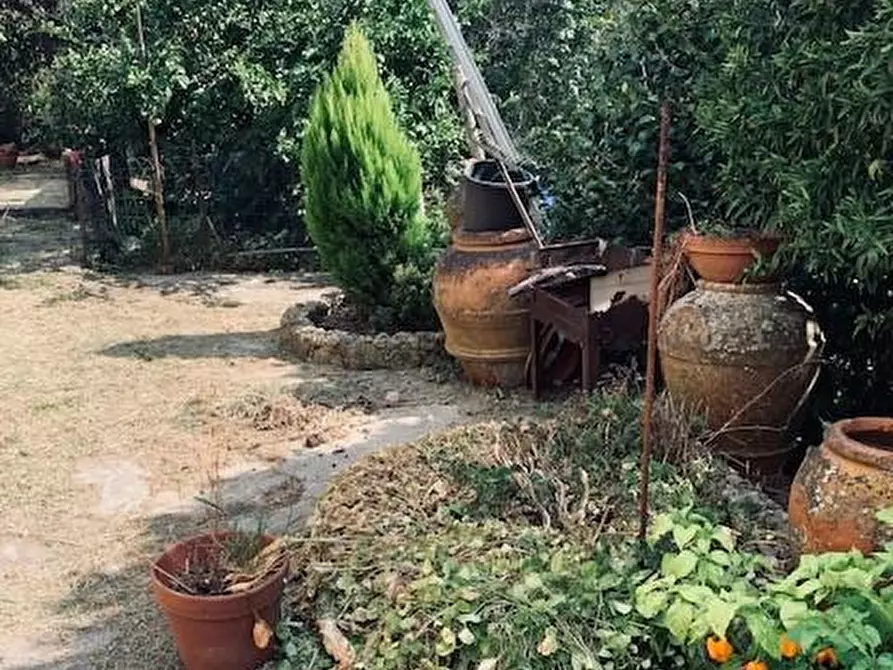 Immagine 5 di Rustico / casale in vendita  a Calci