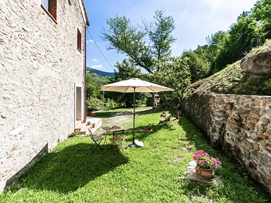 Immagine 8 di Rustico / casale in vendita  a Buti