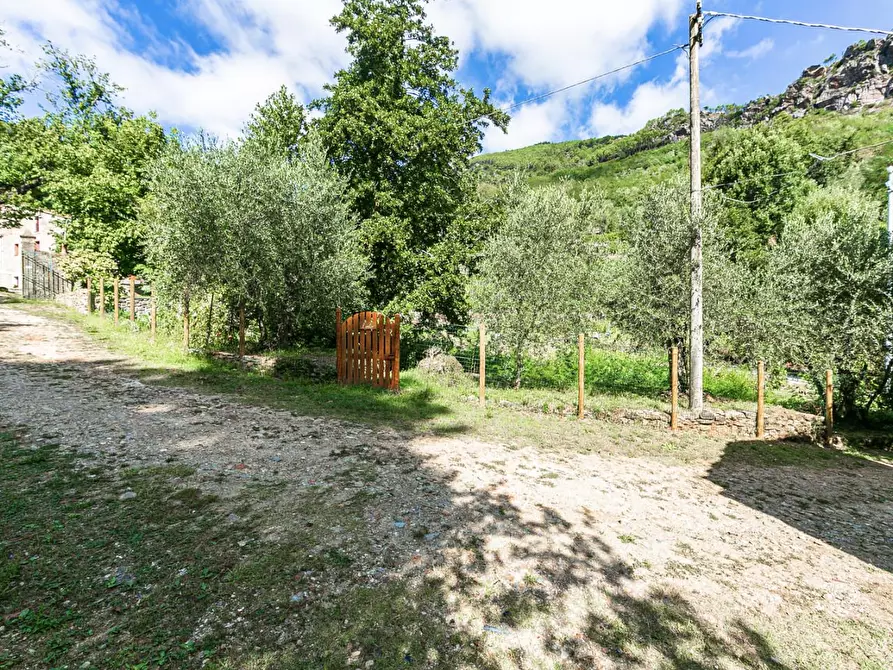 Immagine 23 di Rustico / casale in vendita  a Buti