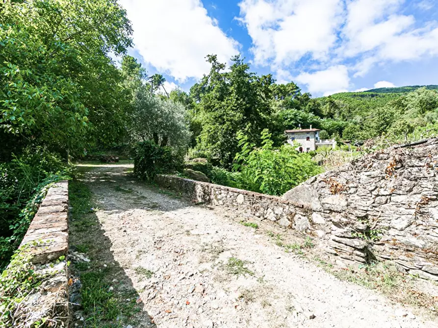 Immagine 14 di Rustico / casale in vendita  a Buti