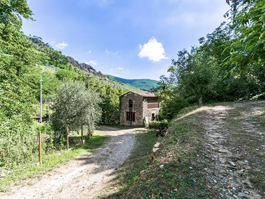 Immagine 22 di Rustico / casale in vendita  a Buti