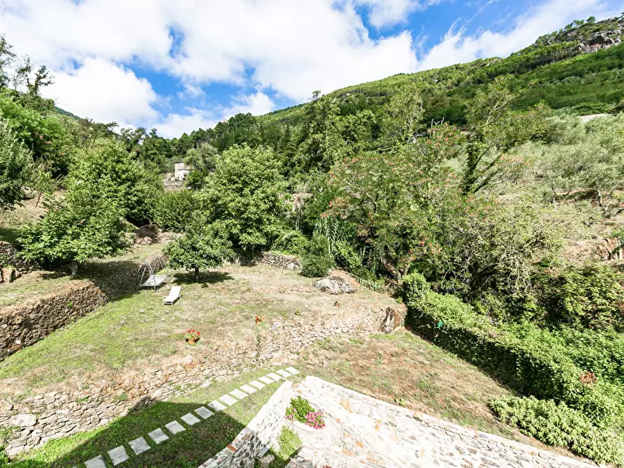 Immagine 52 di Rustico / casale in vendita  a Buti