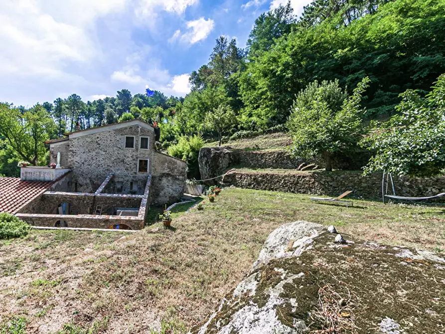 Immagine 17 di Rustico / casale in vendita  a Buti