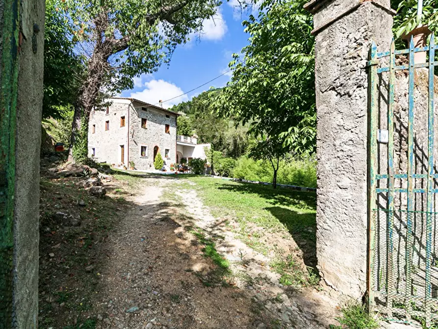 Immagine 2 di Rustico / casale in vendita  a Buti