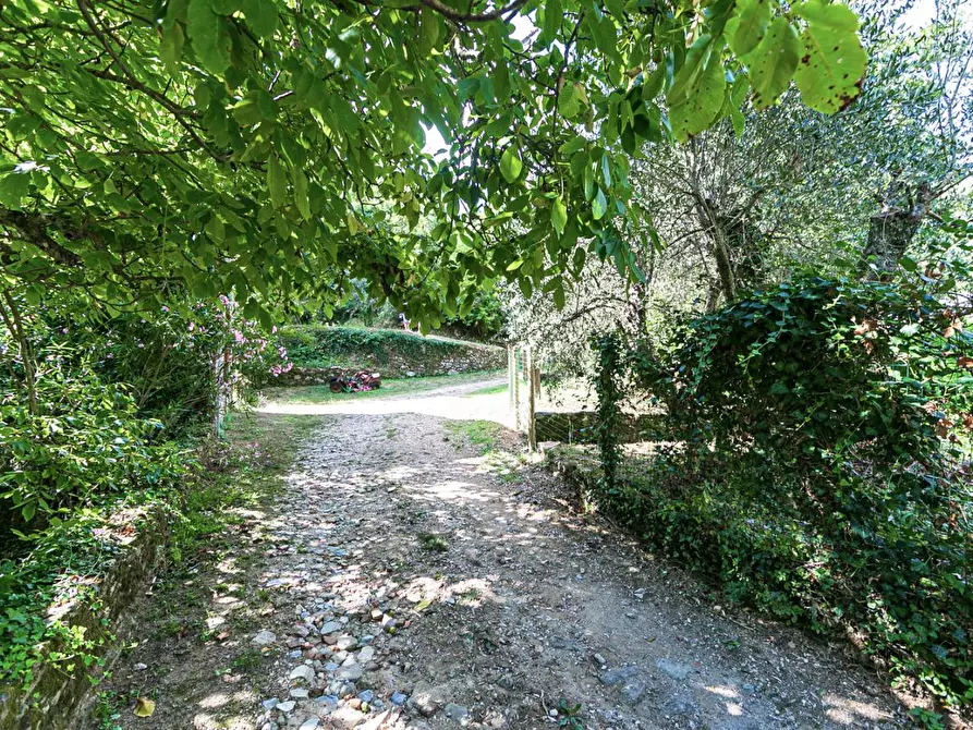 Immagine 13 di Rustico / casale in vendita  a Buti