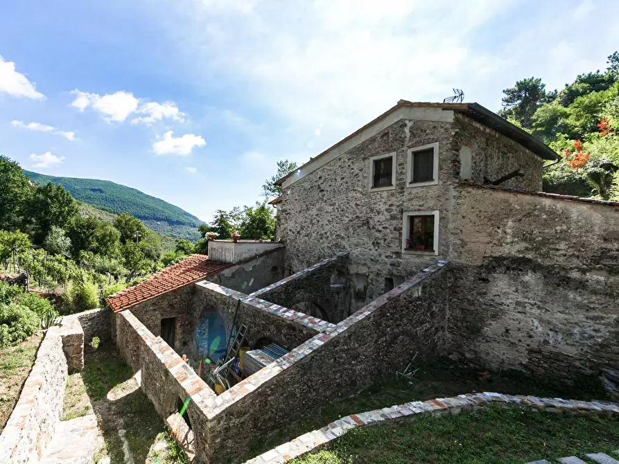 Immagine 19 di Rustico / casale in vendita  a Buti