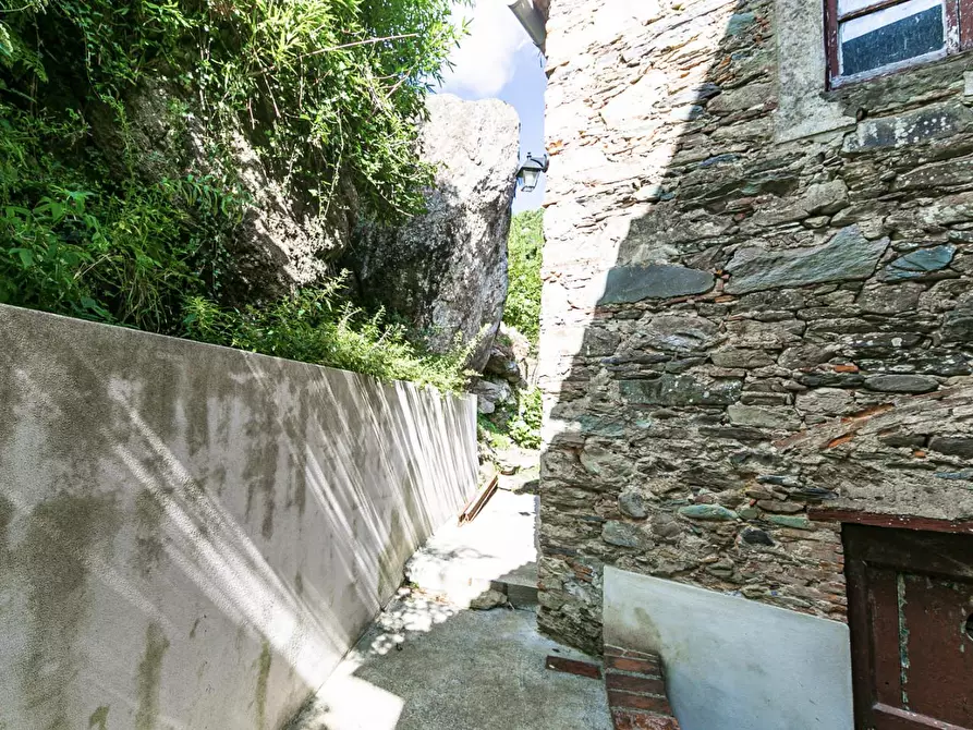 Immagine 20 di Rustico / casale in vendita  a Buti