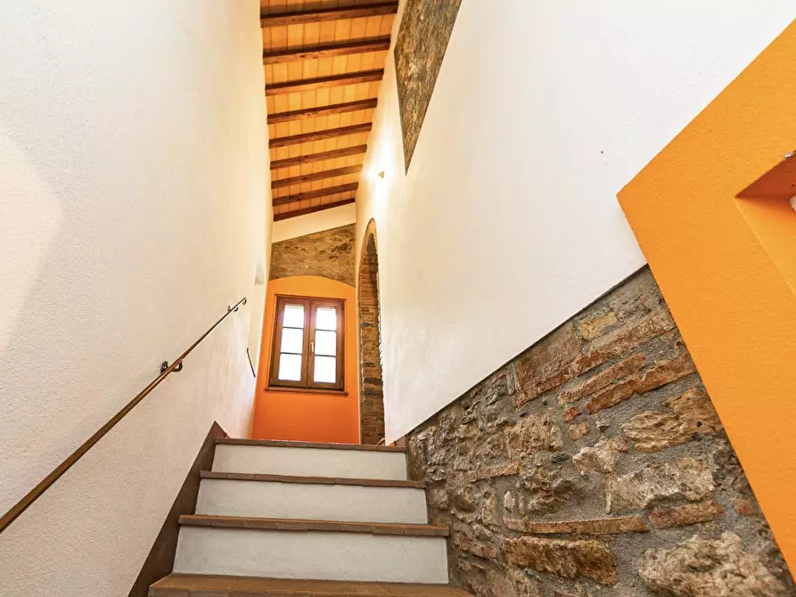 Immagine 58 di Rustico / casale in vendita  a Buti