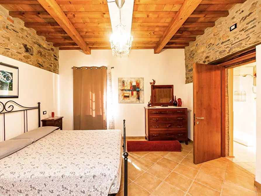 Immagine 81 di Rustico / casale in vendita  a Buti