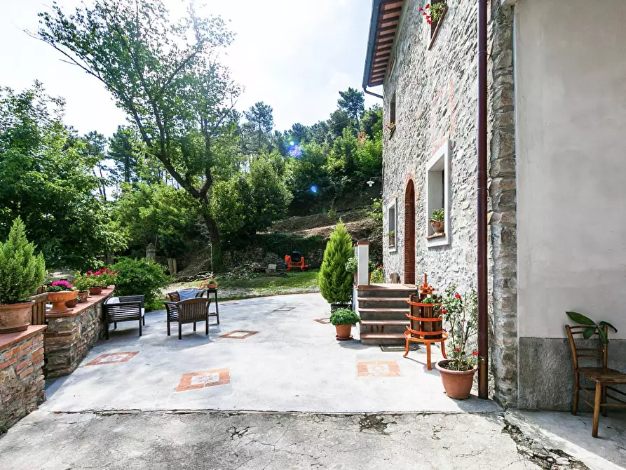 Immagine 4 di Rustico / casale in vendita  a Buti