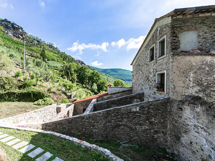 Immagine 15 di Rustico / casale in vendita  a Buti