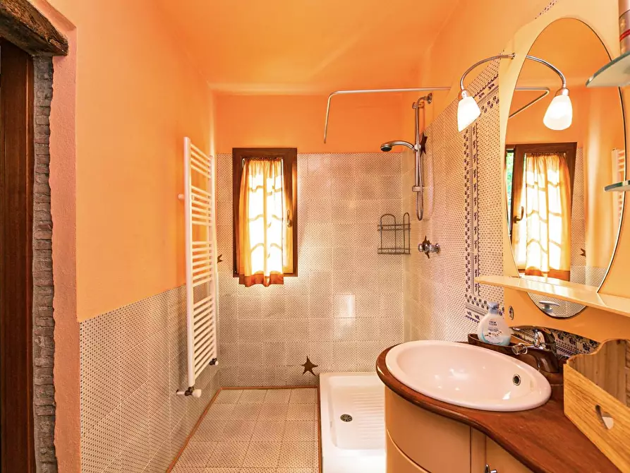 Immagine 85 di Rustico / casale in vendita  a Buti