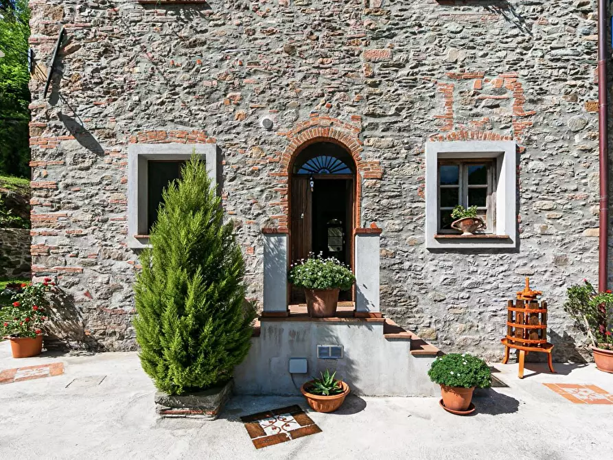 Immagine 11 di Rustico / casale in vendita  a Buti