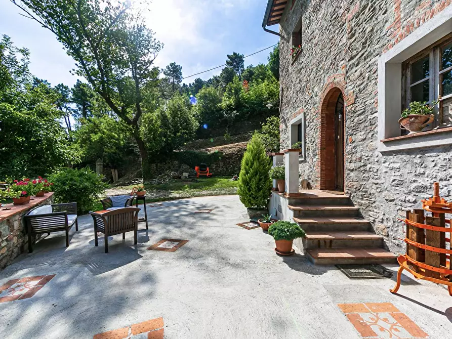 Immagine 10 di Rustico / casale in vendita  a Buti