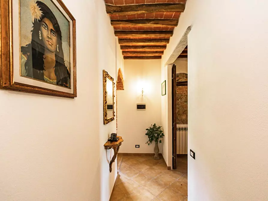 Immagine 59 di Rustico / casale in vendita  a Buti