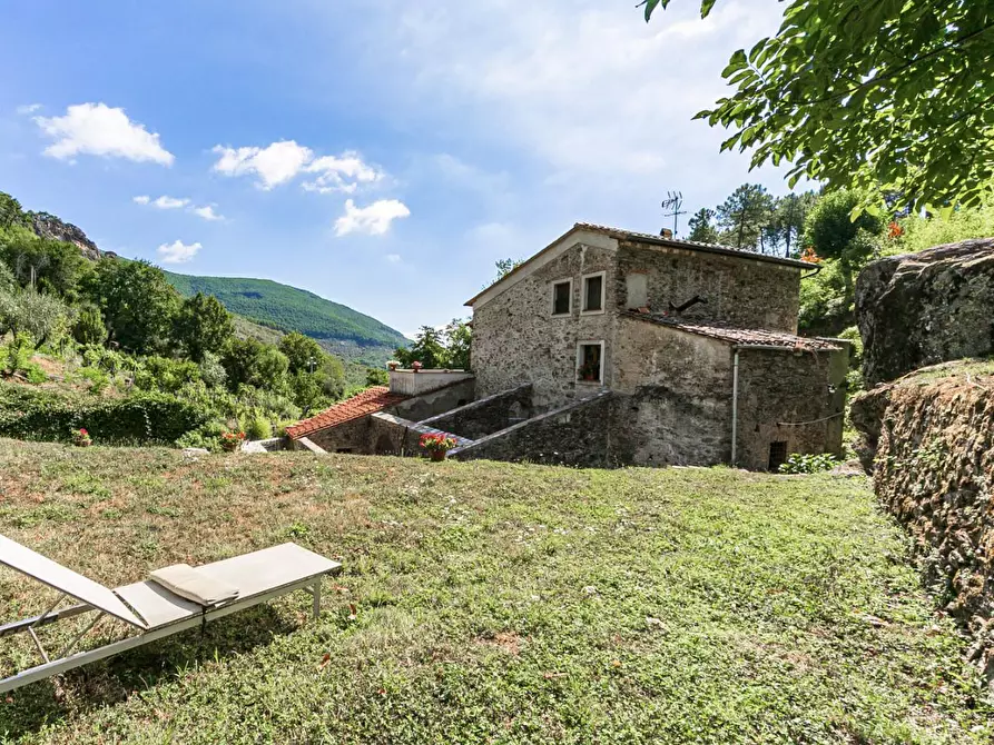 Immagine 18 di Rustico / casale in vendita  a Buti