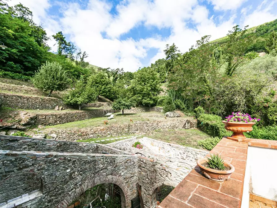 Immagine 67 di Rustico / casale in vendita  a Buti