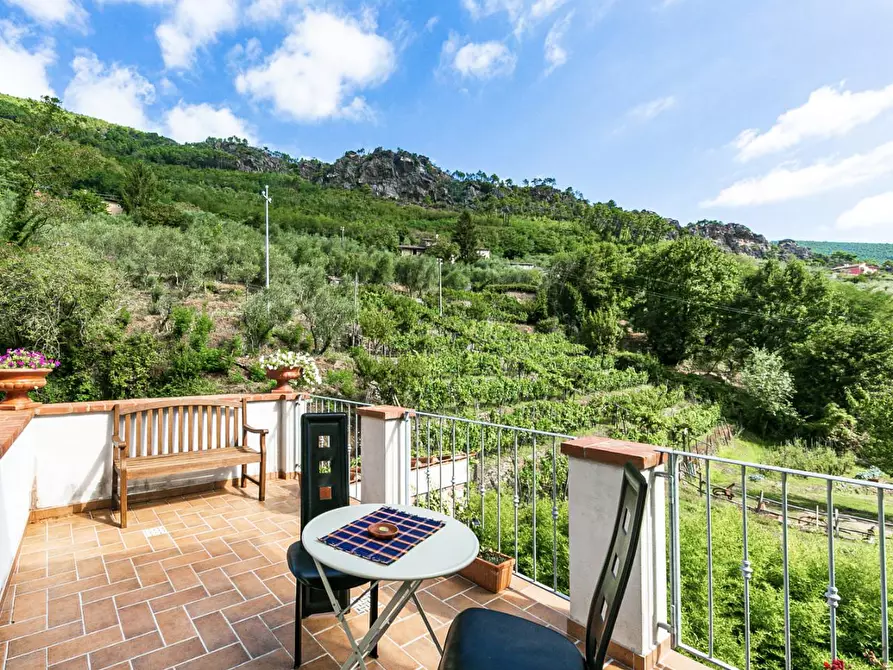 Immagine 65 di Rustico / casale in vendita  a Buti