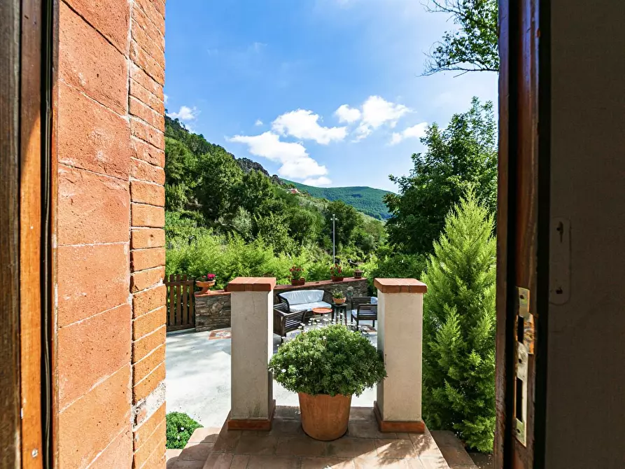 Immagine 3 di Rustico / casale in vendita  a Buti