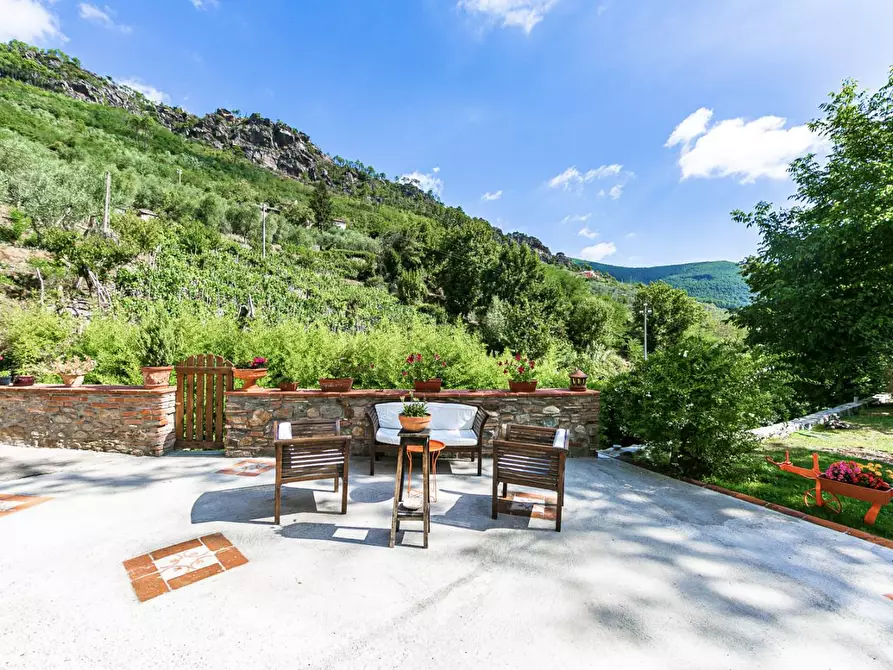 Immagine 21 di Rustico / casale in vendita  a Buti