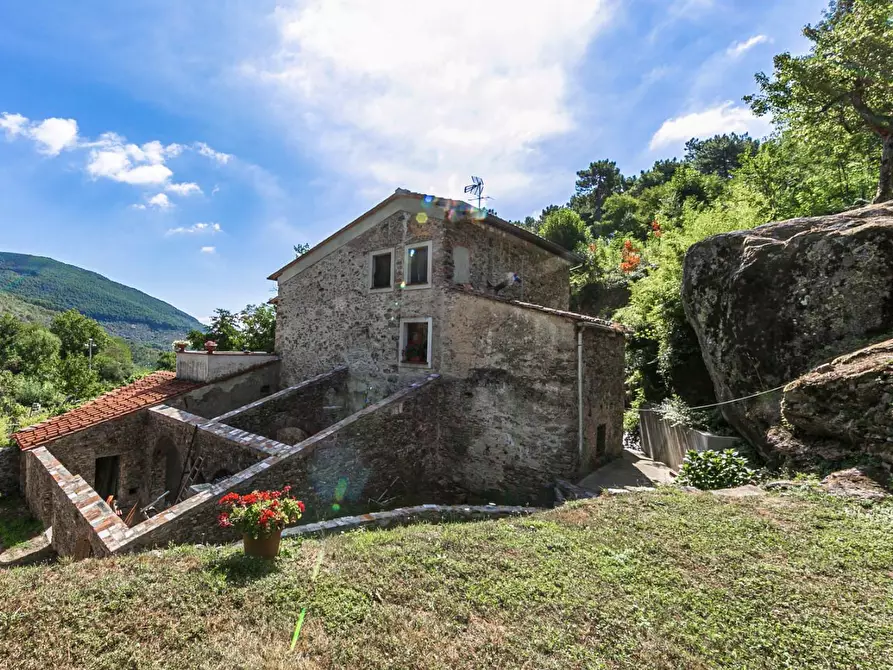 Immagine 16 di Rustico / casale in vendita  a Buti
