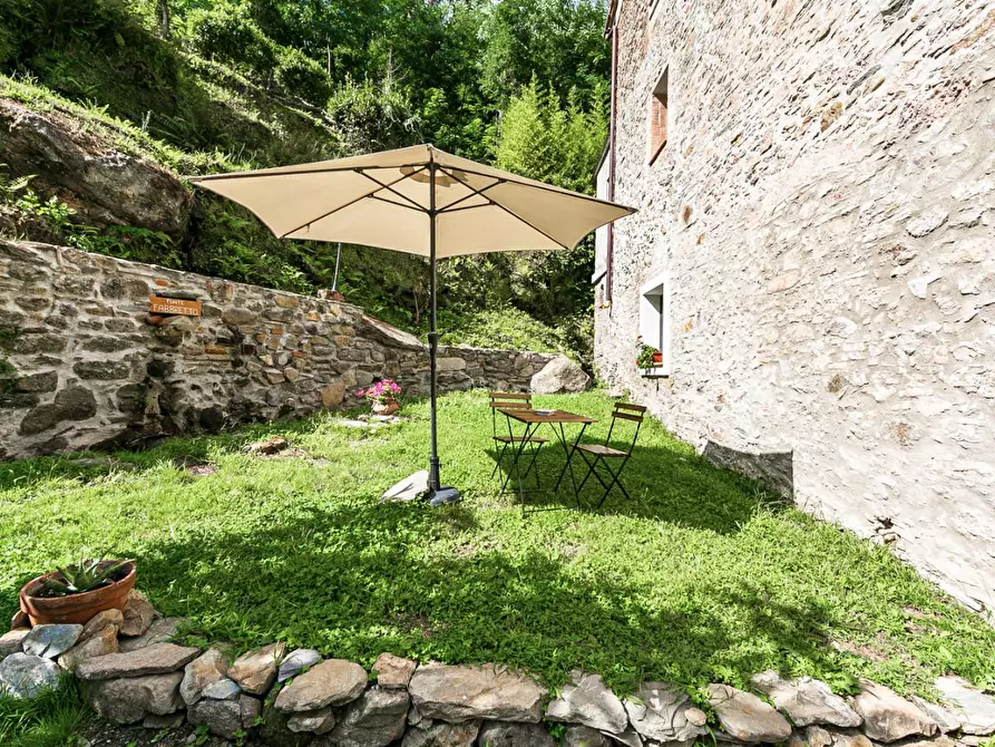 Immagine 6 di Rustico / casale in vendita  a Buti