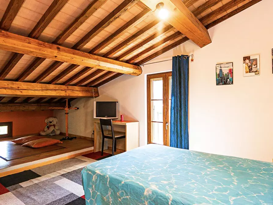 Immagine 41 di Rustico / casale in vendita  a Buti