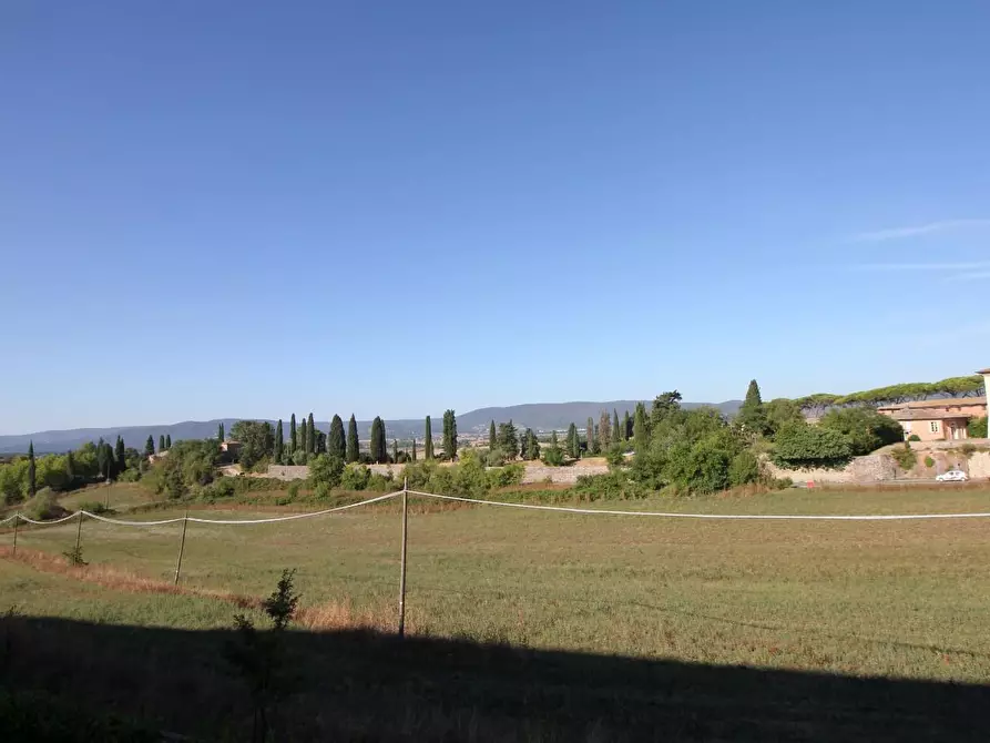 Immagine 7 di Appartamento in vendita  a Sovicille