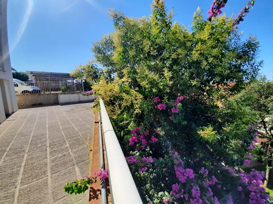 Immagine 18 di Appartamento in vendita  a Suvereto