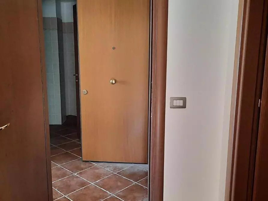 Immagine 11 di Appartamento in vendita  a Suvereto