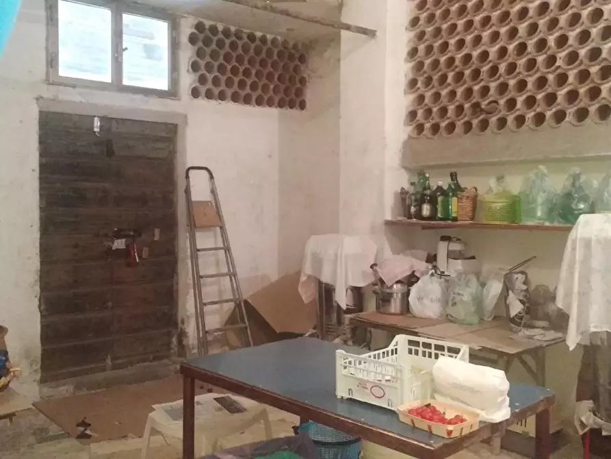 Immagine 11 di Terreno agricolo in vendita  a Grosseto