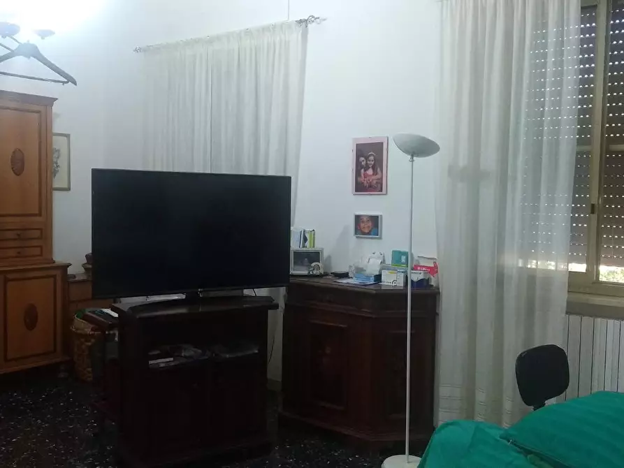 Immagine 10 di Terreno agricolo in vendita  a Grosseto