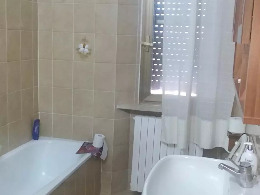 Immagine 5 di Terreno agricolo in vendita  a Grosseto