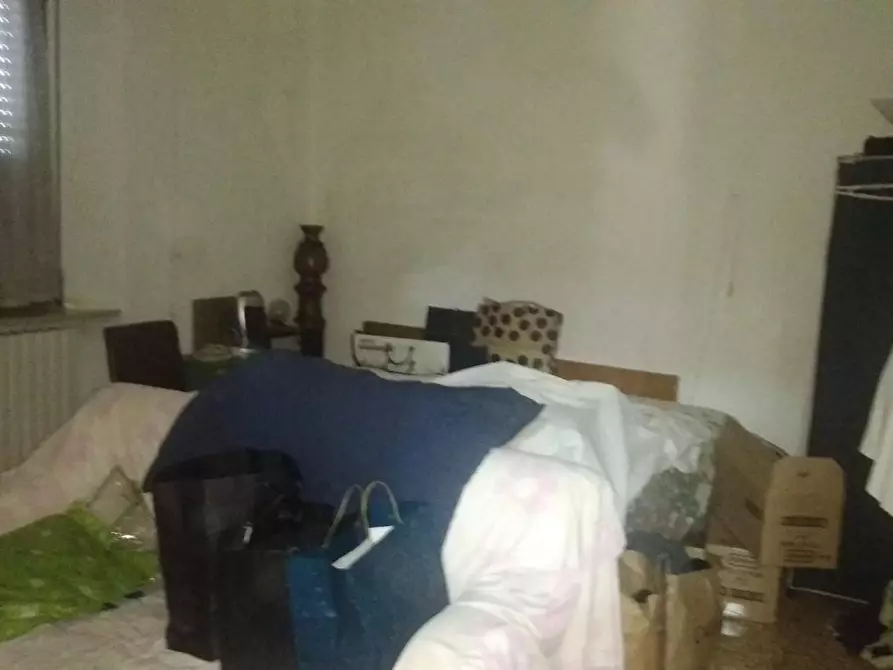 Immagine 6 di Terreno agricolo in vendita  a Grosseto