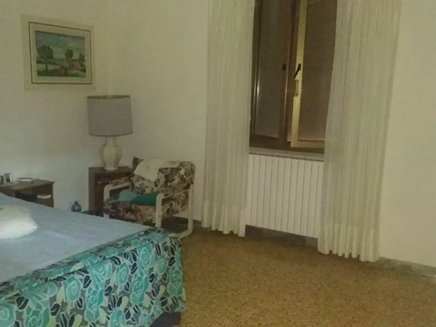 Immagine 7 di Terreno agricolo in vendita  a Grosseto