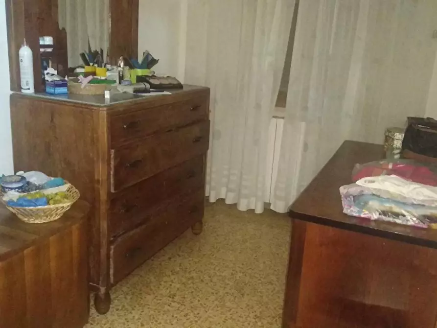 Immagine 4 di Terreno agricolo in vendita  a Grosseto